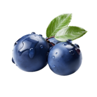 Blueberry with leave on transparent Background png