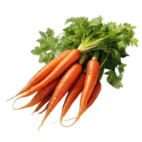 carrot transparent background png