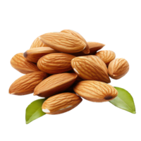 almond on Transparent Background png