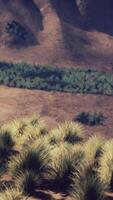 woestijn vegetatie met uitzicht dor vallei Bij zonsondergang video