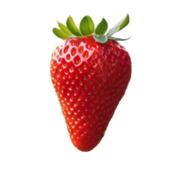 une fraise est montré sur une transparent Contexte png