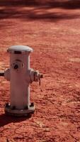White Fire Hydrant on Dirt Field video