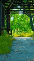 Covered Walkway in Park With Trees and Grass video