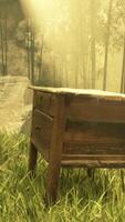 un' tranquillo, calmo di legno panchina circondato di natura nel un' sereno foresta ambientazione video