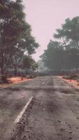 asfaltweg door het diepe bos video