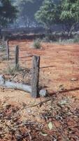 Fragment of an old fence with rusty barbed wire video