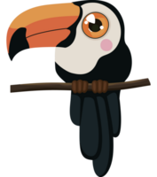 söt toucan design png