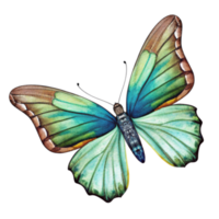 un azul mariposa con verde alas el mariposa es pintado en acuarela y es el principal atención de el imagen png