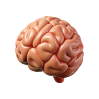 3D Rendering of a Human Brain on transparent background png