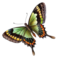 A green butterfly with green wings The butterfly is painted in watercolor and is the main focus of the image png