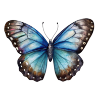 A blue butterfly with brown wings The butterfly is painted in watercolor and has a serene, peaceful mood png