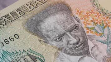 250 surinamiska dollar nationell valuta pengar Rättslig anbud sedel räkningen Bank 3 video