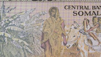 50 Somali shilling SOS national currency money legal tender bill central bank 3 video