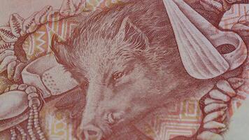 20 Kina papua nuovo Guinea nazionale moneta legale tenero banconota conto vicino su 5 video