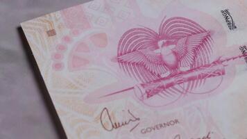 20 kin Papoea nieuw Guinea nationaal valuta wettelijk inschrijving bankbiljet Bill dichtbij omhoog 4 video