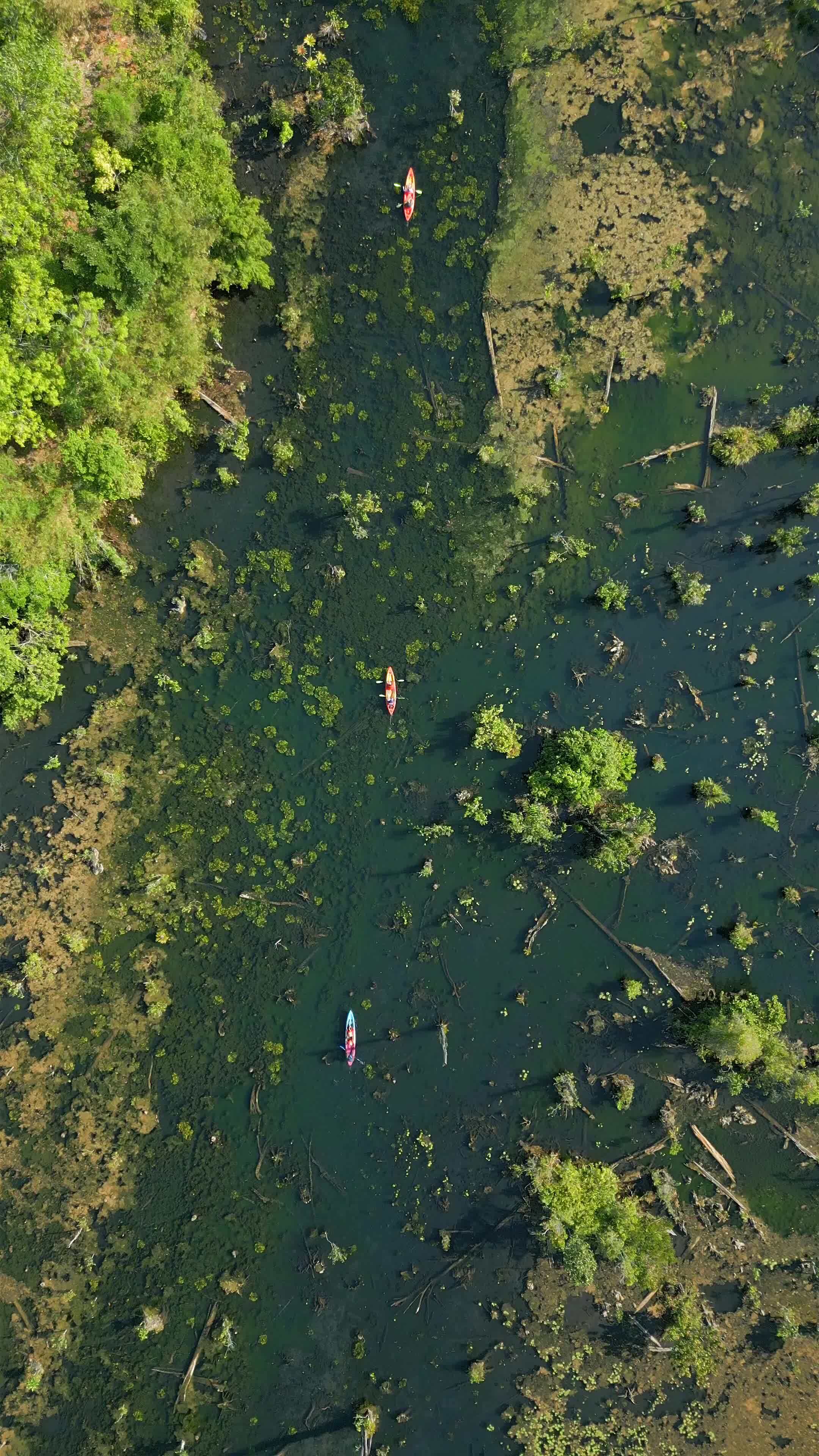 Top view of tourists kayaking on Mirror Lake in Krabi, Thailand