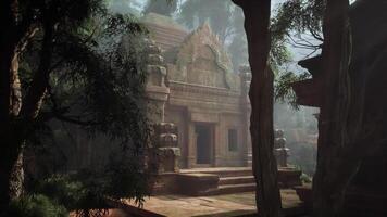 oude mayan tempel omringd door Woud video