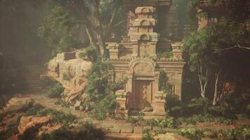 gammal mayan tempel mitt i skog video