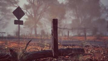 Fence in Field With Trees video