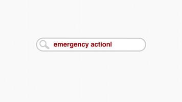 Emergency action plan web digital search bar typing animation graphic video