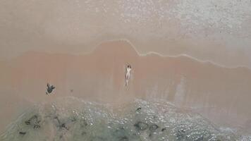 caucasiano mulher dentro uma bikini deitado em a Beira Mar em período de férias dentro Tailândia video
