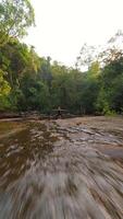 fpv de mujer practicas yoga en tropical selva, Tailandia video