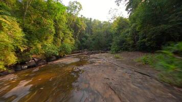 fpv di donna pratiche yoga nel tropicale foresta pluviale, Tailandia video