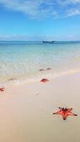 tropical plage avec étoile de mer dans le cristal clair mer sur phu quoc île vietnam video