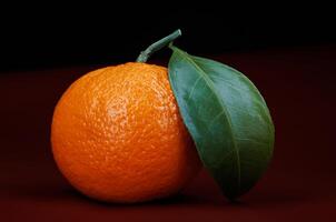 Two ripe juicy tangerines on a dark red background. photo