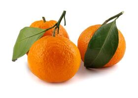 Three tangerines isolated on a white background. Organic tangerine with green leaf. Mandarin. photo