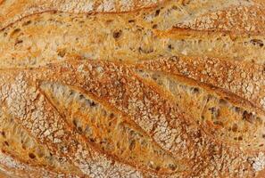 Beautiful surface of a bread loaf. Art bread. photo