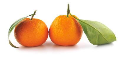 Two tangerines isolated on a white background. Organic tangerine with green leaf. Mandarin. photo