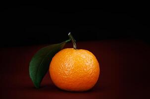 Two ripe juicy tangerines on a dark red background. photo