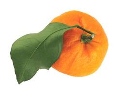 Ripe juicy tangerine isolated on a white background. Organic tangerine with green leaf. Mandarin. photo