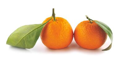 Two tangerines isolated on a white background. Organic tangerine with green leaf. Mandarin. photo