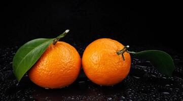 Two ripe juicy tangerines on a black background with drops of water. photo