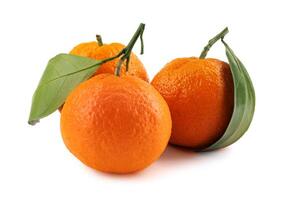 Three tangerines isolated on a white background. Organic tangerine with green leaf. Mandarin. photo