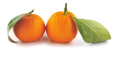 Two tangerines isolated on a white background. Organic tangerine with green leaf. Mandarin. photo