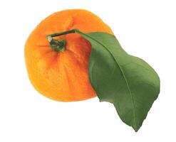 Ripe juicy tangerine isolated on a white background. Organic tangerine with green leaf. Mandarin. photo