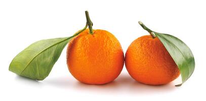 Two tangerines isolated on a white background. Organic tangerine with green leaf. Mandarin. photo