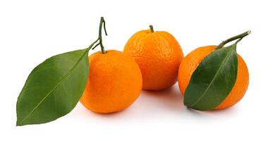 Three tangerines isolated on a white background. Organic tangerine with green leaf. Mandarin. photo