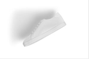 A Shoe on white background photo