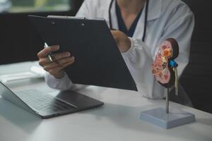 Female doctor explaining to patient results of model the process of patients. Diagnosis of diseases for Model Internal organ. photo