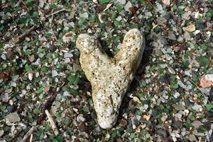 Natural Heart Shaped Textured Stone on a Sea Glass Beach photo