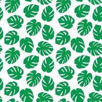 Tropical summer seamless pattern. Monstera palm leaves green silhouette on white background. vector
