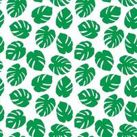 Tropical summer seamless pattern. Monstera palm leaves green silhouette on white background. vector