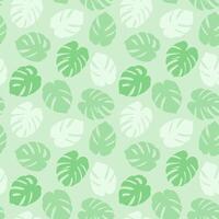 Tropical summer seamless pattern. Monstera palm leaves silhouette. Green background. vector