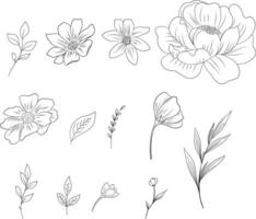 flower and leaf sketch elements vector