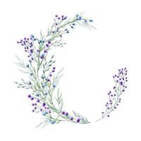 Purple, blue flowers and spikelet. Spring, summer green herbs. Wreath of meadow, forest wildflowers. Floral frame of blooming field plants. Watercolor illustration with copy space for text. vector