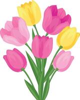 Tulip flower bouquet illustration vector